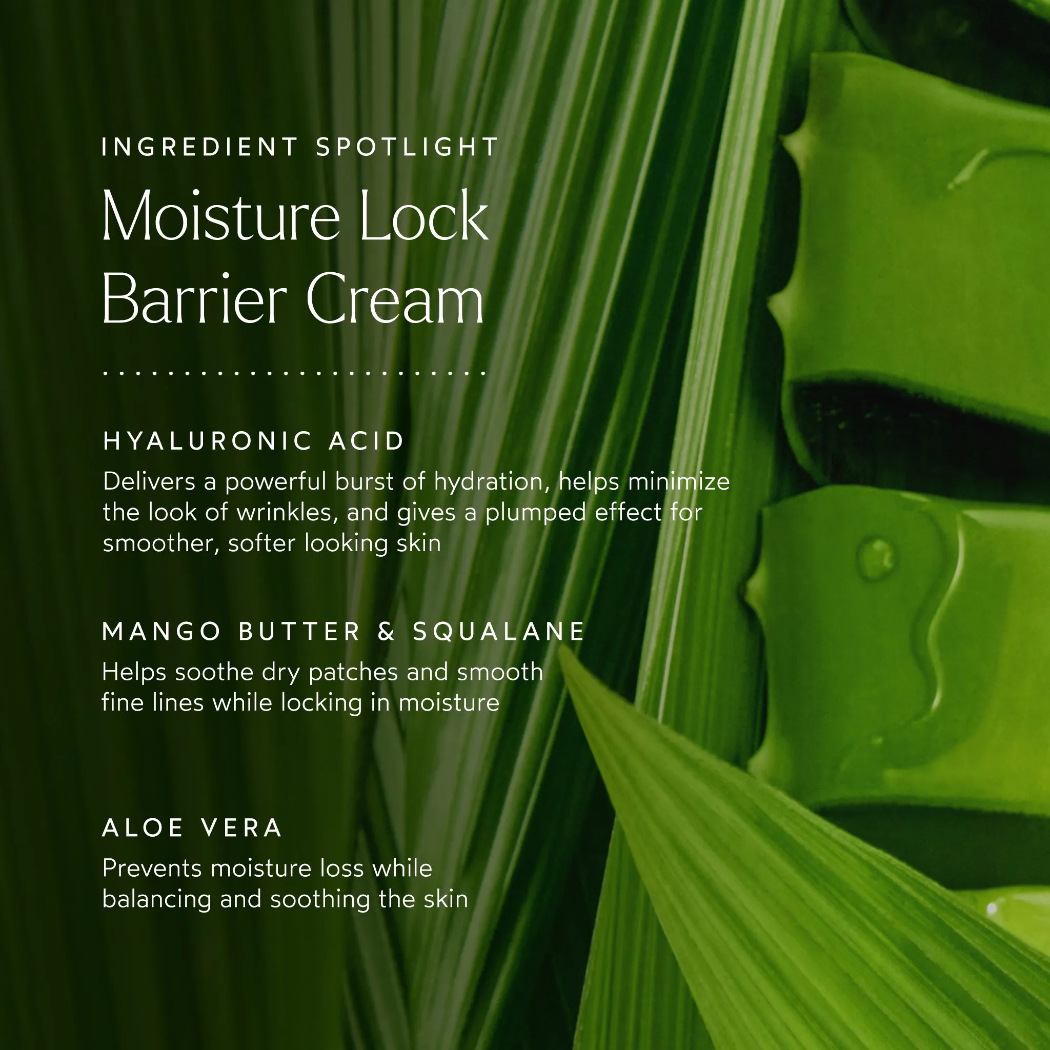 Moisture Lock Overnight Mask