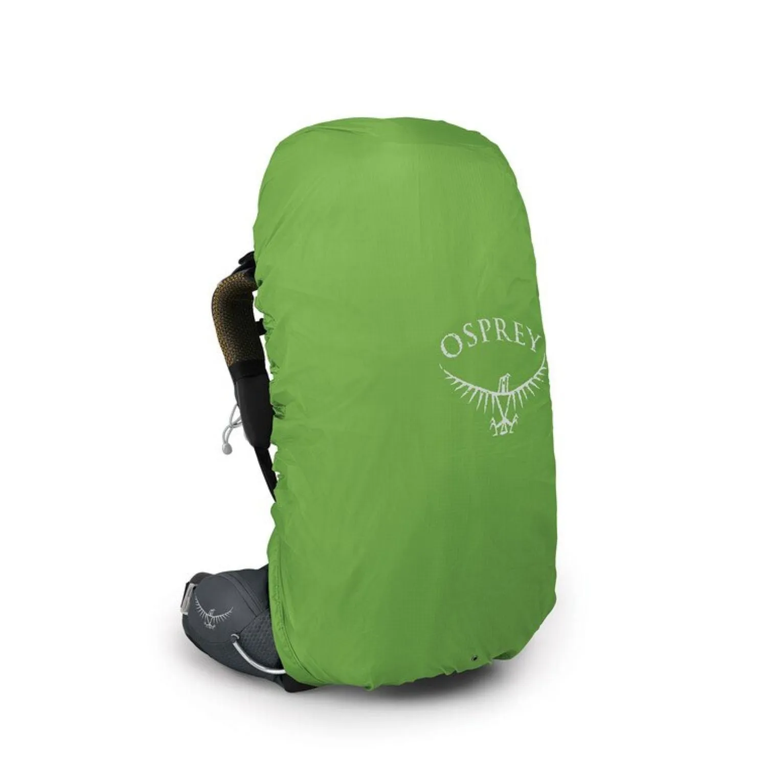 Osprey Aura AG 50 Backpack M/L - Women's Backpacking