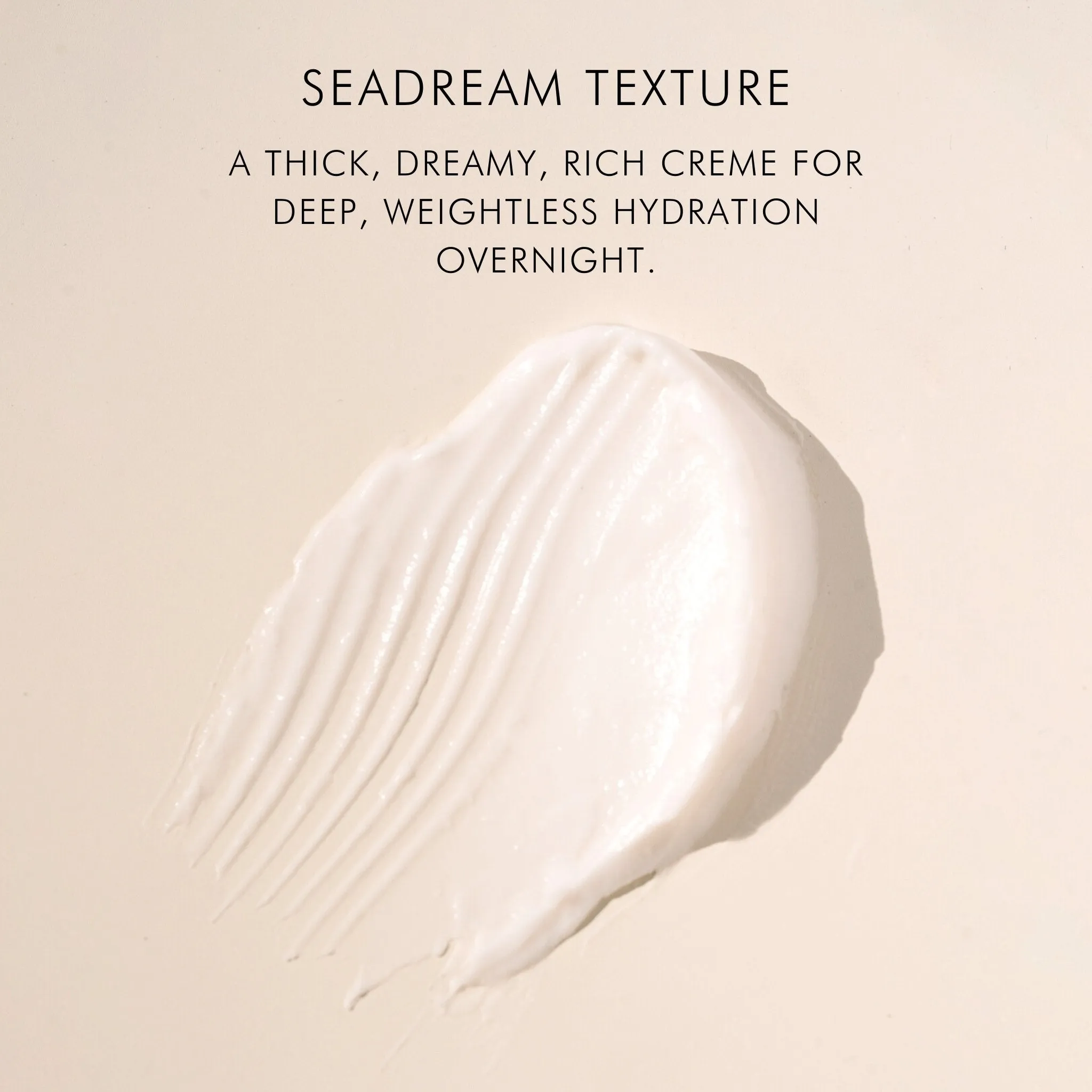 Sea Moss   Stem Cells Seadream Firming Algae Créme