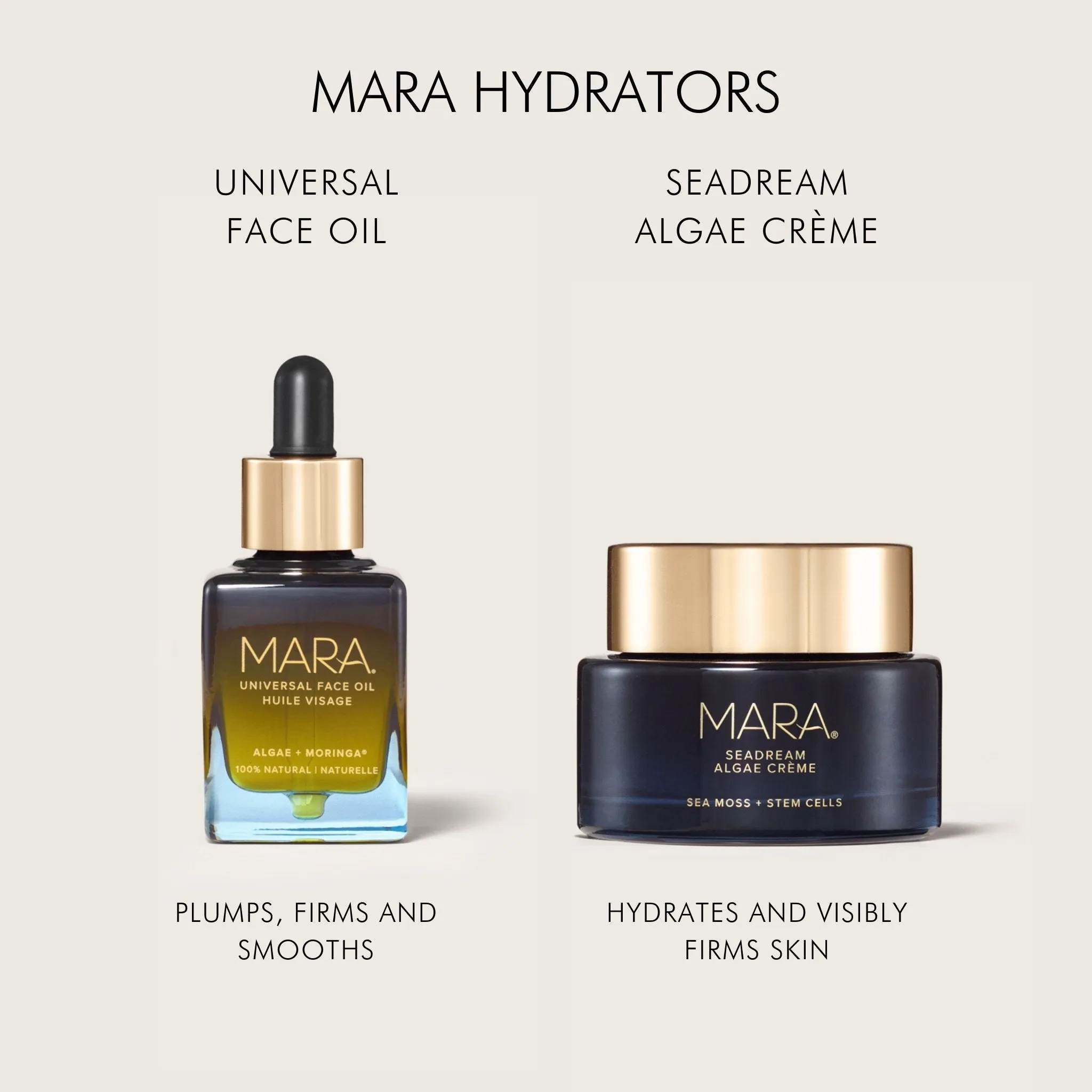Sea Moss   Stem Cells Seadream Firming Algae Créme
