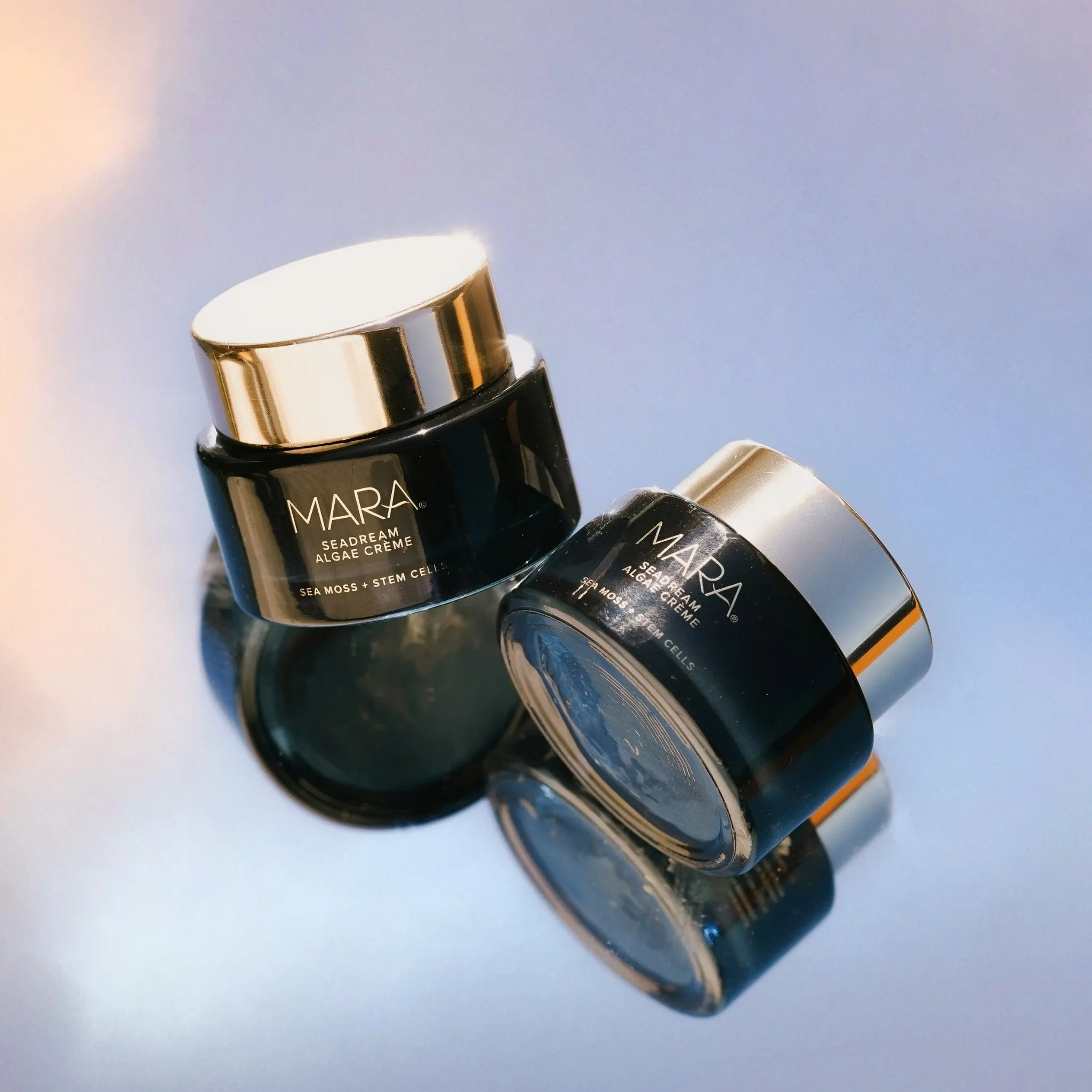 Sea Moss   Stem Cells Seadream Firming Algae Créme