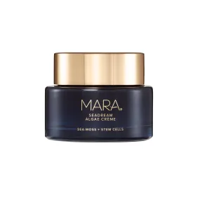 Sea Moss   Stem Cells Seadream Firming Algae Créme