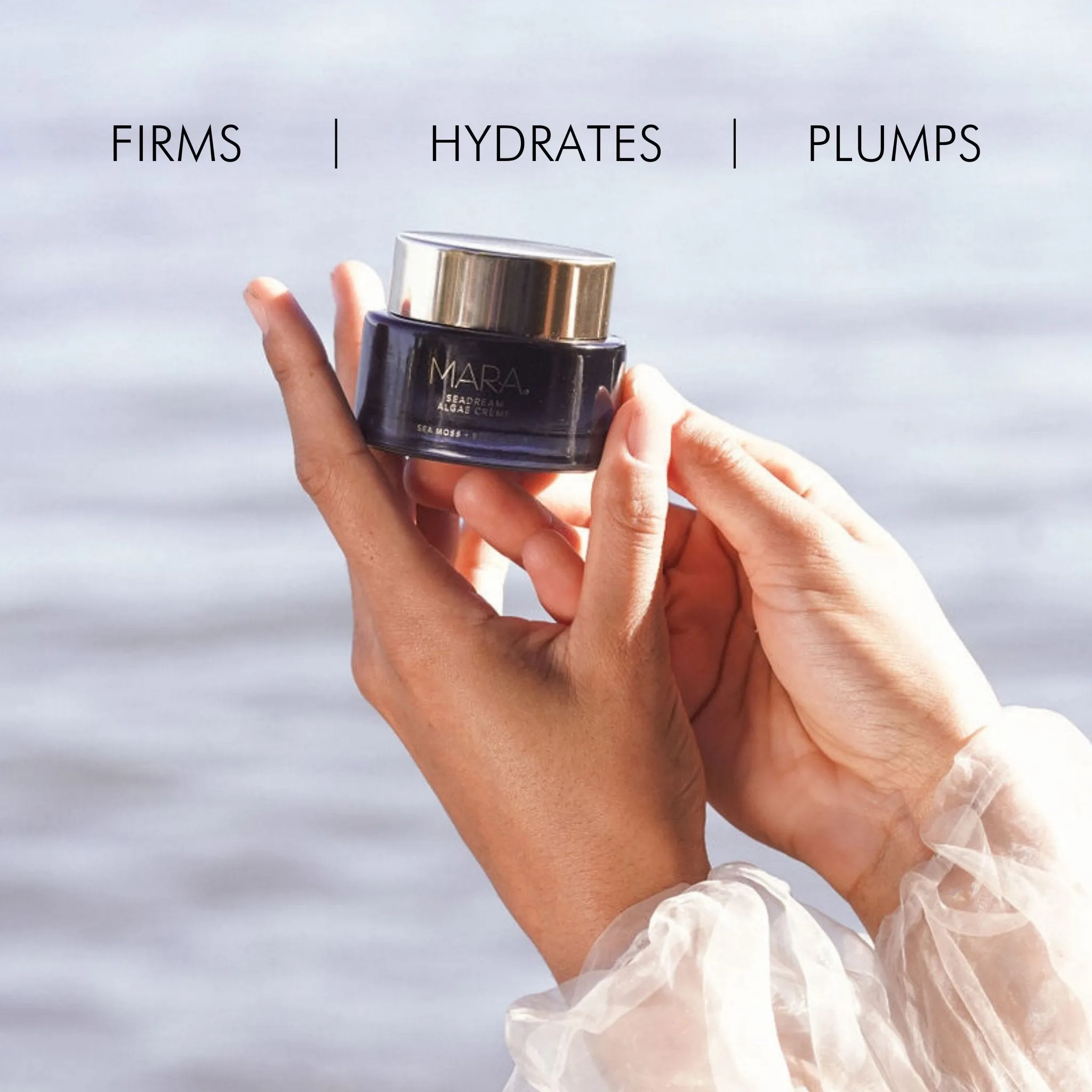 Sea Moss   Stem Cells Seadream Firming Algae Créme
