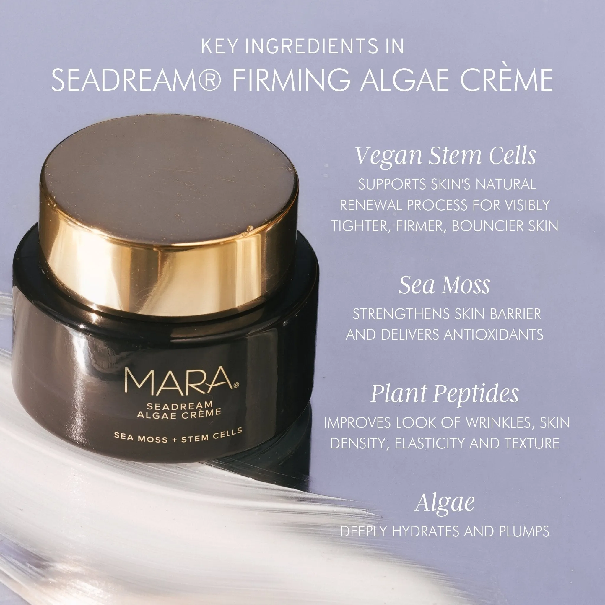 Sea Moss   Stem Cells Seadream Firming Algae Créme