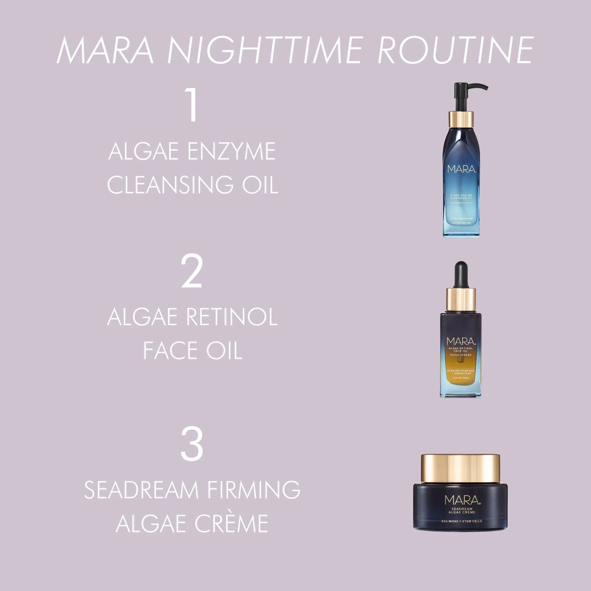Sea Moss   Stem Cells Seadream Firming Algae Créme